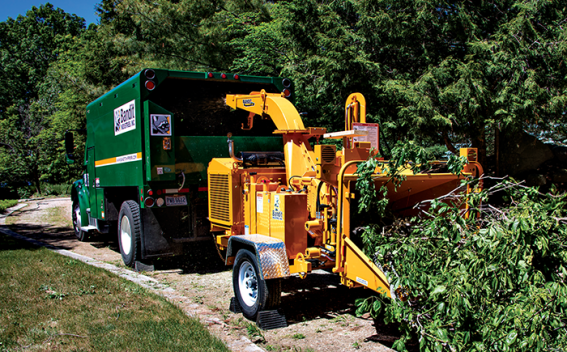 树木粉碎机的刀片多久需要维护或更换?