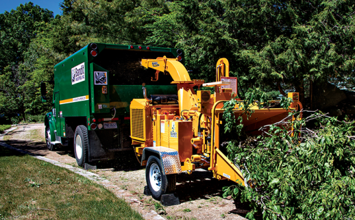 疫木粉碎机突然停机？快速排查这几点原因